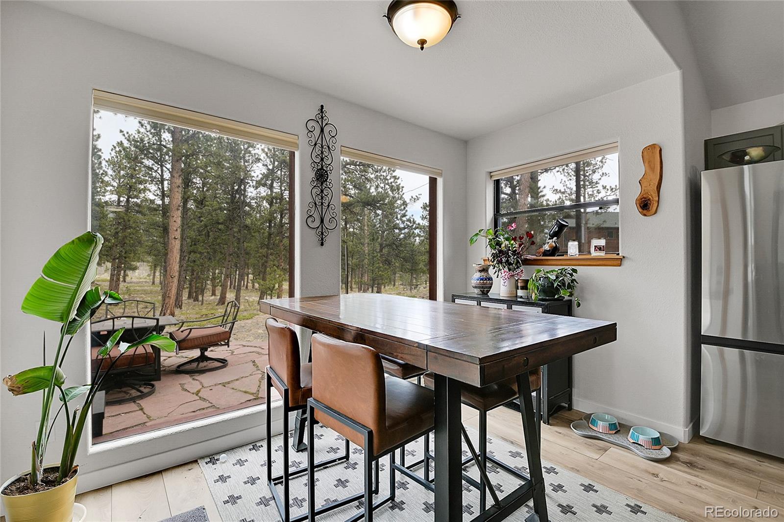 MLS Image #12 for 243  bandit lane,bailey, Colorado