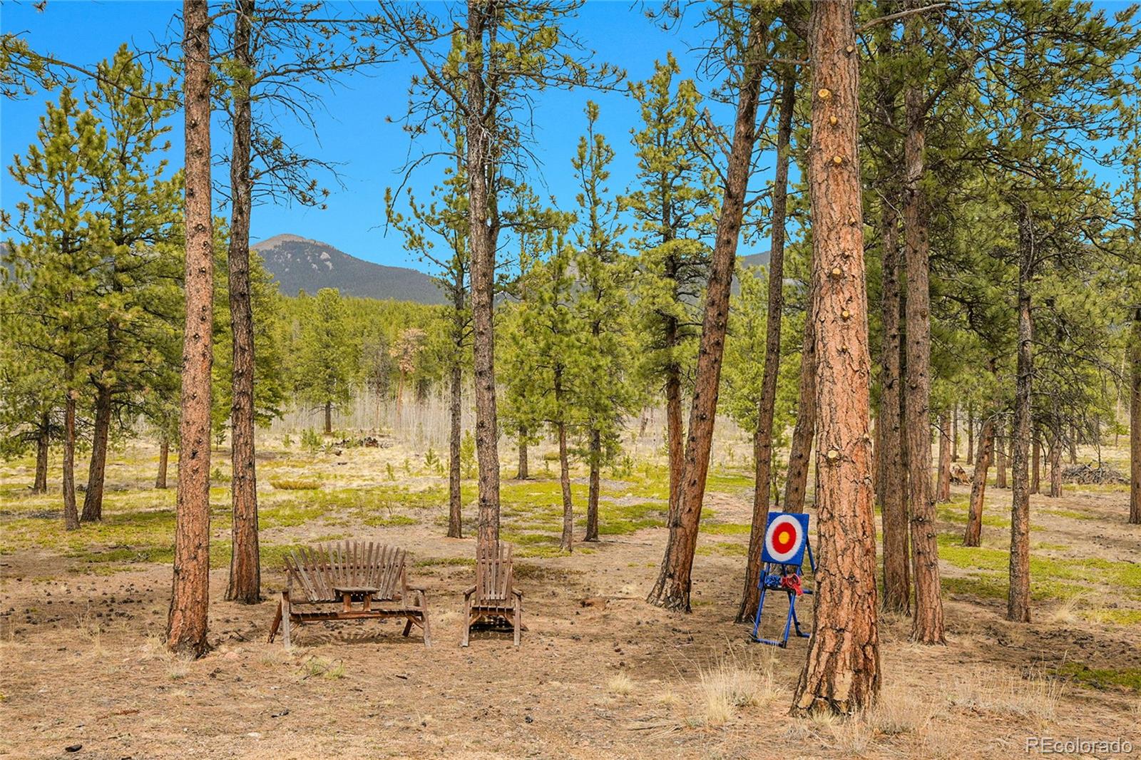 MLS Image #21 for 243  bandit lane,bailey, Colorado