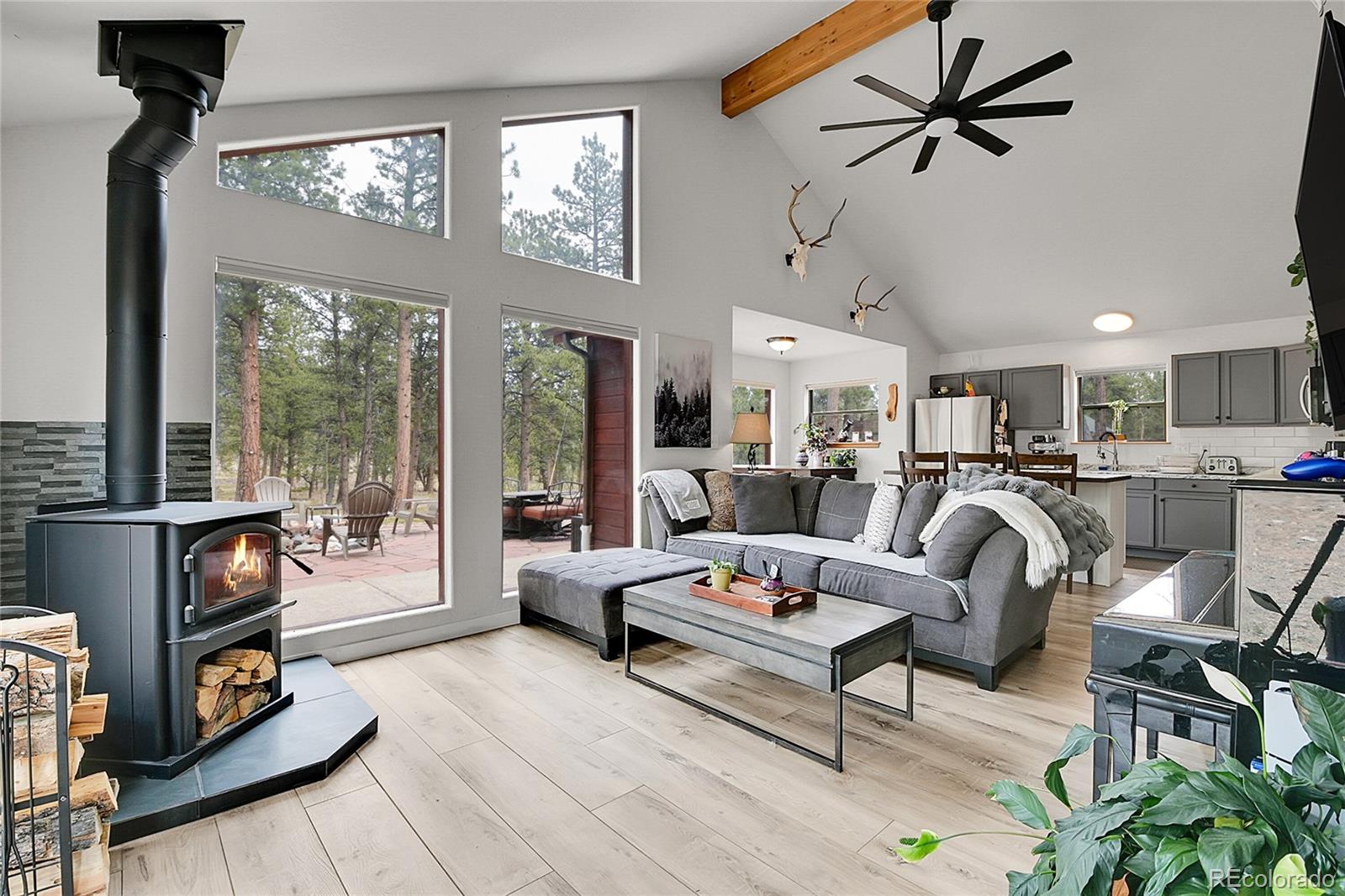 MLS Image #3 for 243  bandit lane,bailey, Colorado