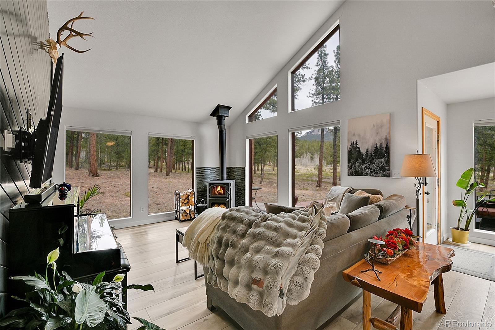 MLS Image #4 for 243  bandit lane,bailey, Colorado