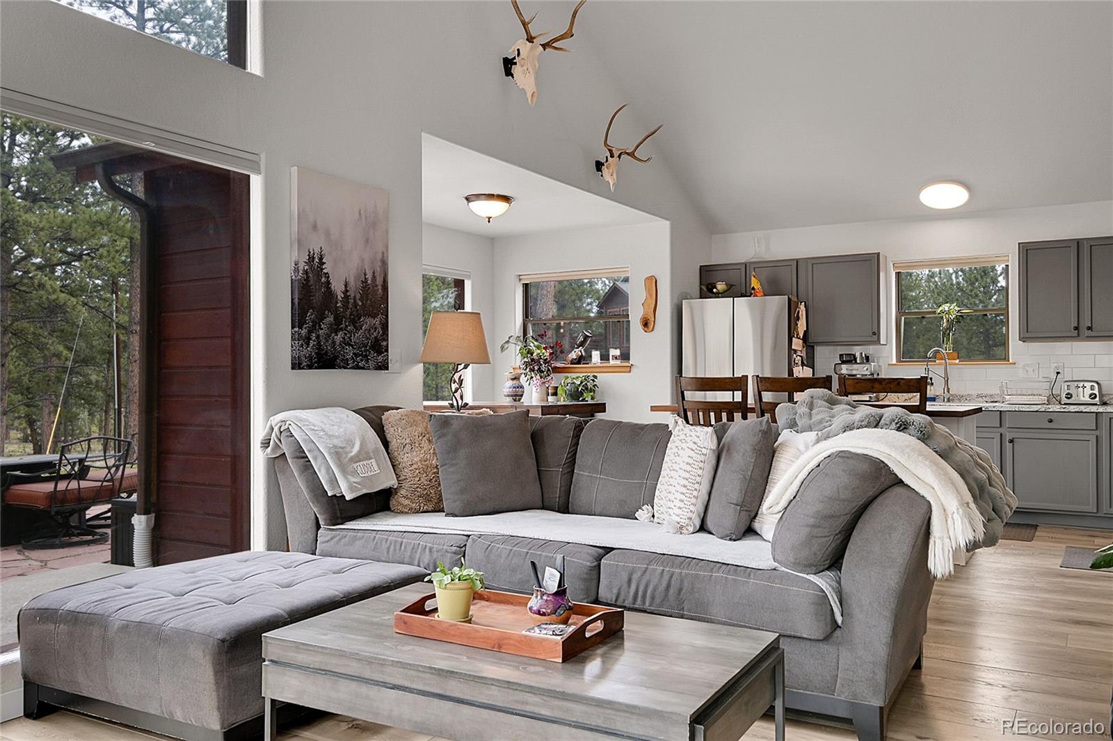 MLS Image #5 for 243  bandit lane,bailey, Colorado
