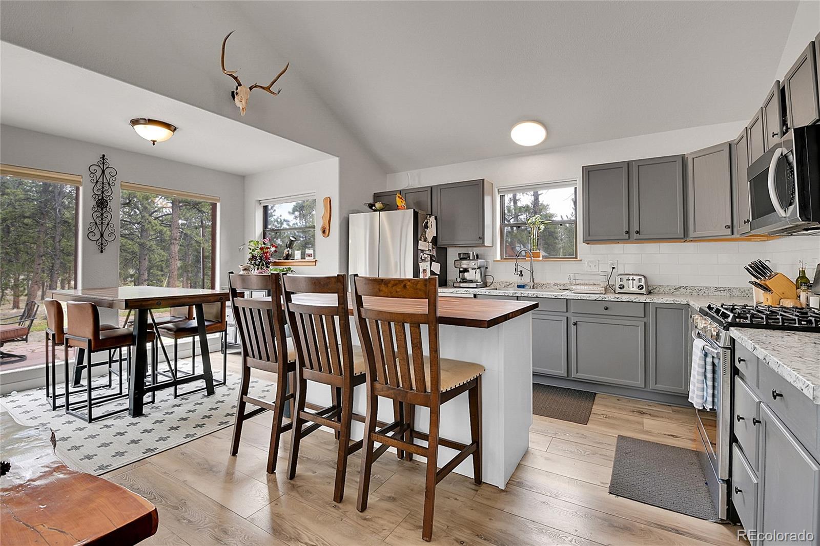 MLS Image #6 for 243  bandit lane,bailey, Colorado