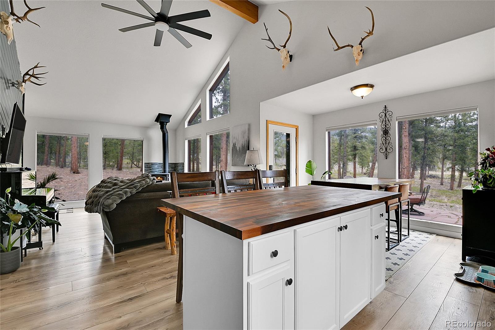 MLS Image #7 for 243  bandit lane,bailey, Colorado