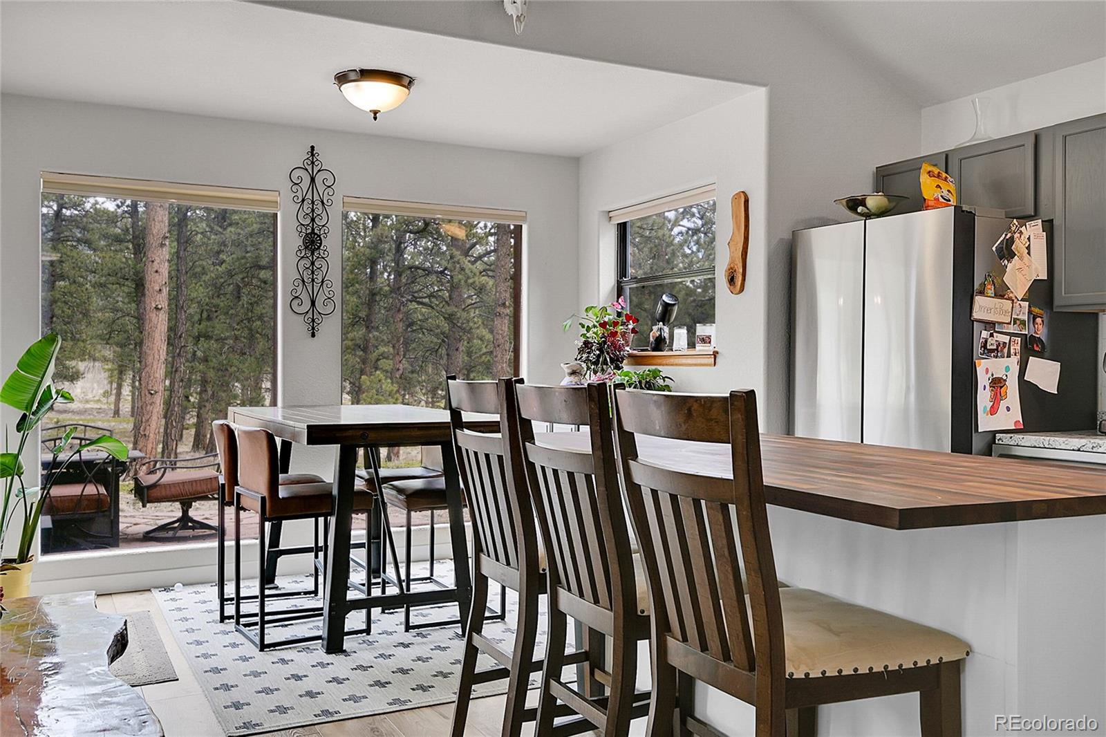 MLS Image #8 for 243  bandit lane,bailey, Colorado