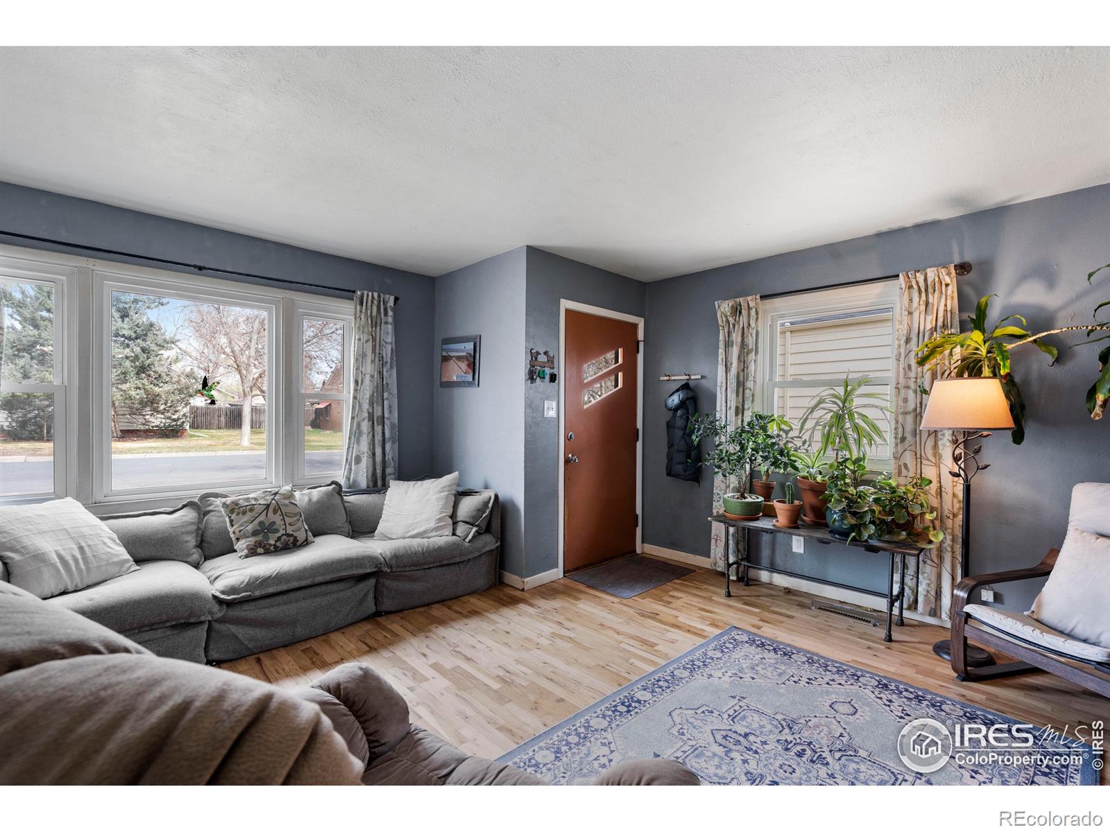 MLS Image #11 for 117  welch avenue,berthoud, Colorado