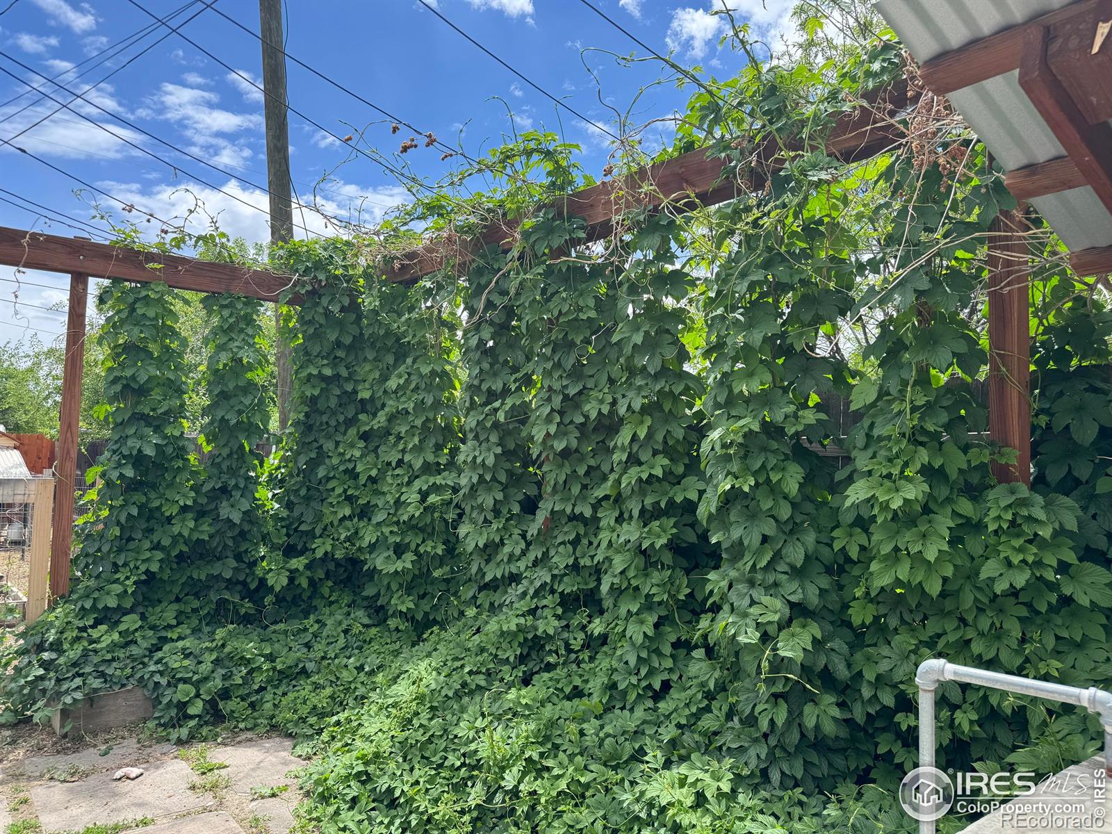 MLS Image #3 for 117  welch avenue,berthoud, Colorado