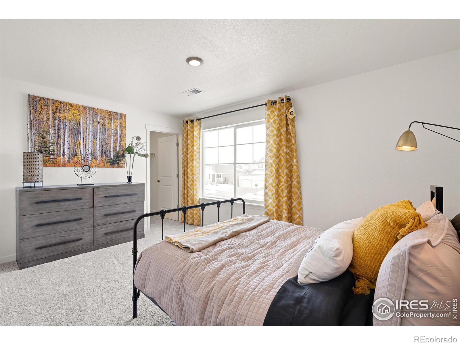 MLS Image #26 for 4312  gypsum avenue,mead, Colorado