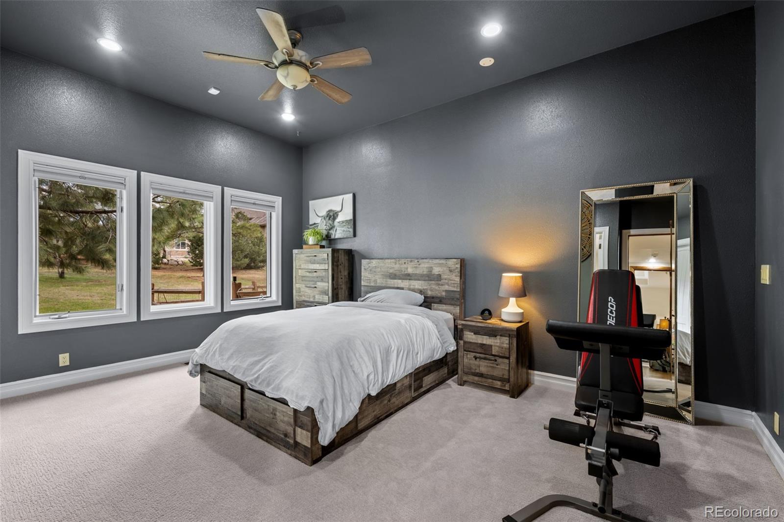 MLS Image #25 for 6371  diamond ridge parkway,castle rock, Colorado