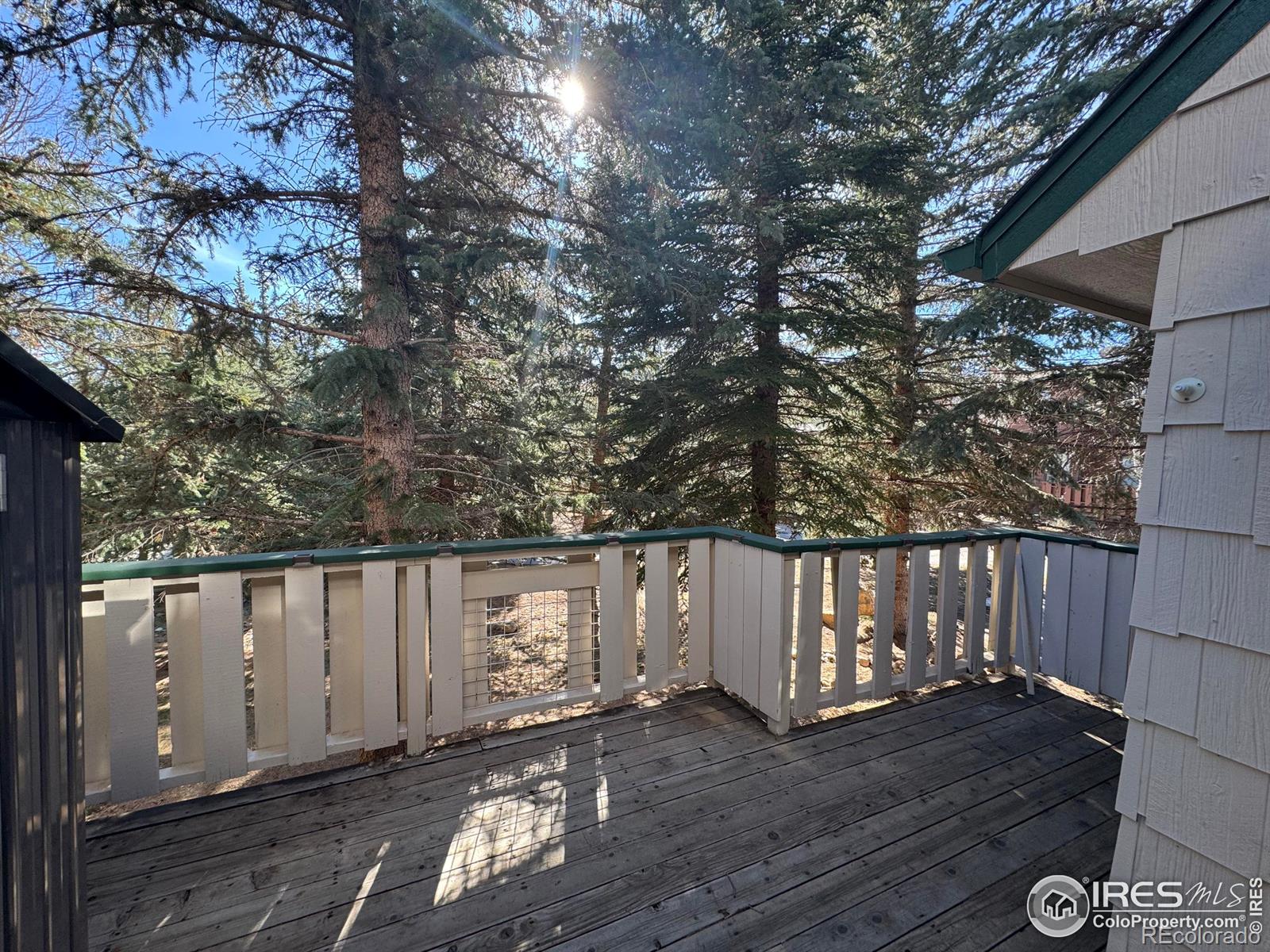 MLS Image #1 for 1010 s saint vrain avenue,estes park, Colorado