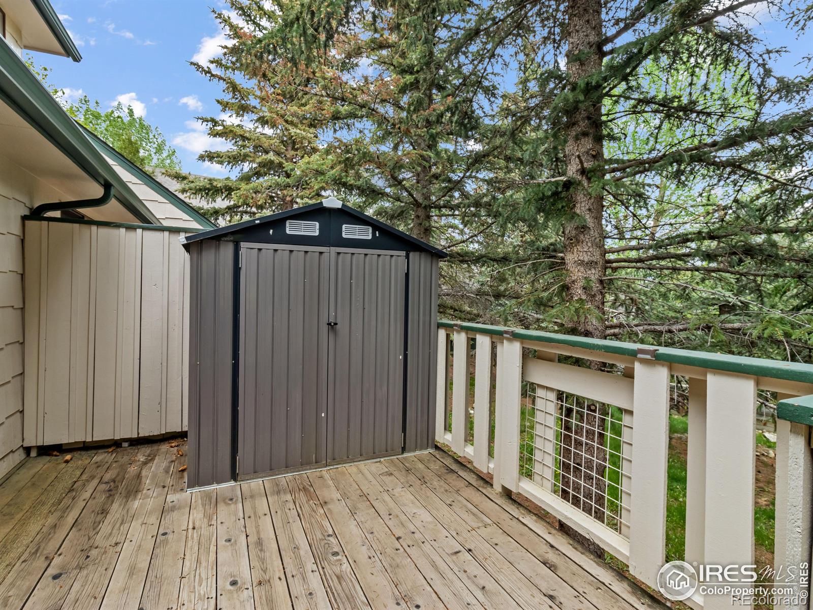 MLS Image #19 for 1010 s saint vrain avenue,estes park, Colorado