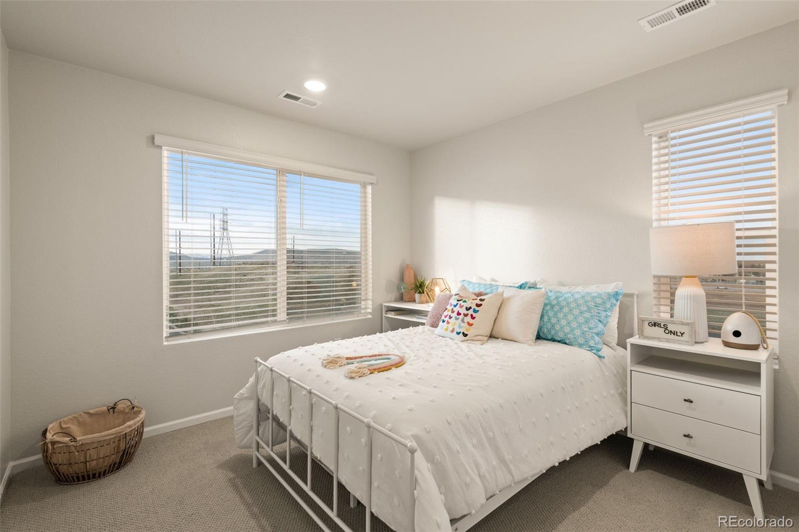 MLS Image #24 for 14412  pansy loop,morrison, Colorado