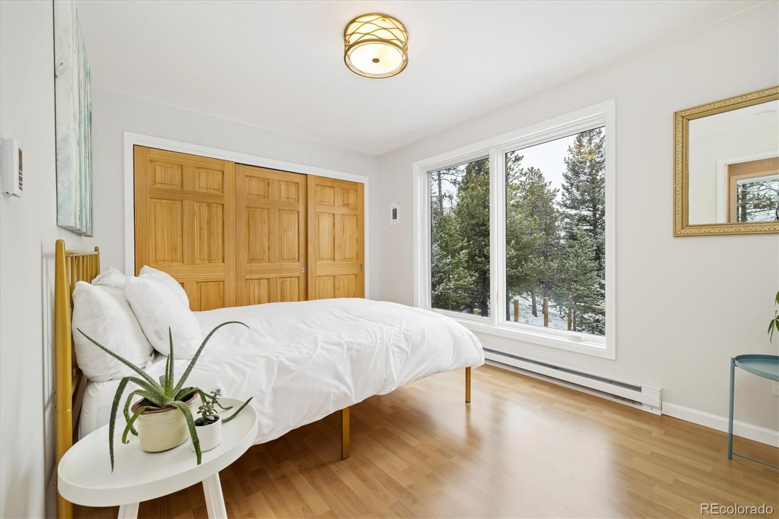 MLS Image #11 for 10354  georgia circle,morrison, Colorado