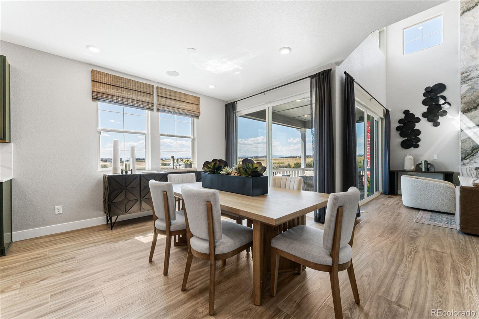 MLS Image #24 for 4261  ridgewalk point,castle rock, Colorado