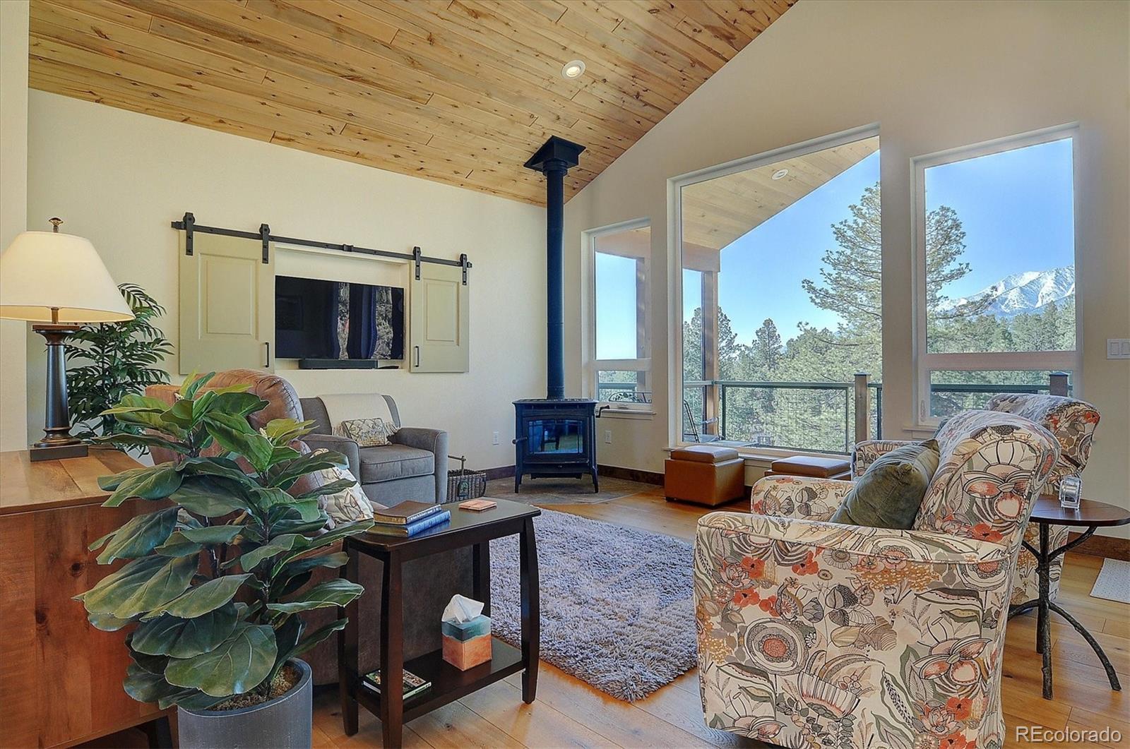 MLS Image #14 for 18202  alta vista drive,buena vista, Colorado