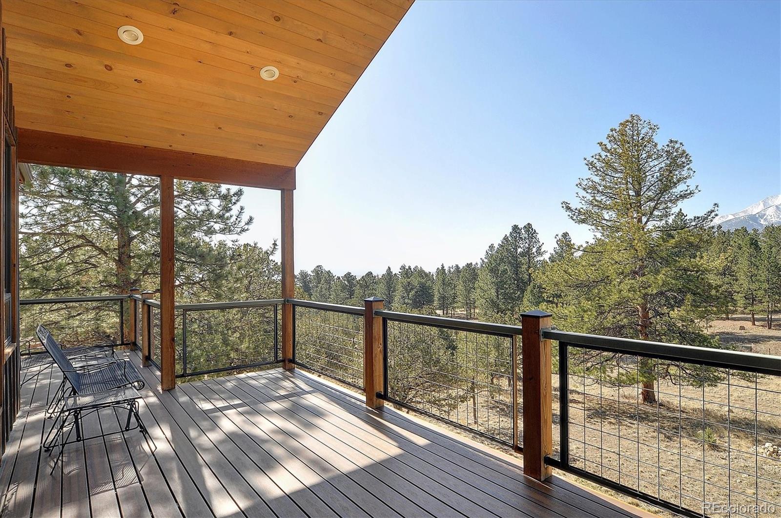 MLS Image #4 for 18202  alta vista drive,buena vista, Colorado
