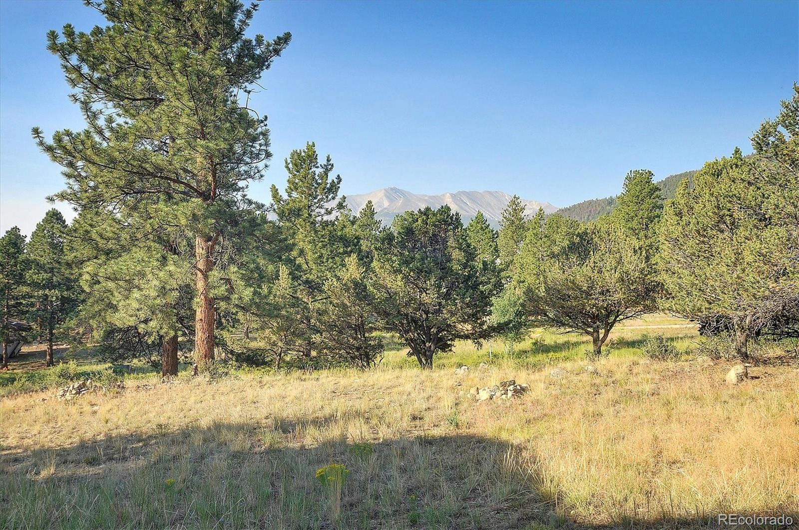 MLS Image #43 for 18202  alta vista drive,buena vista, Colorado