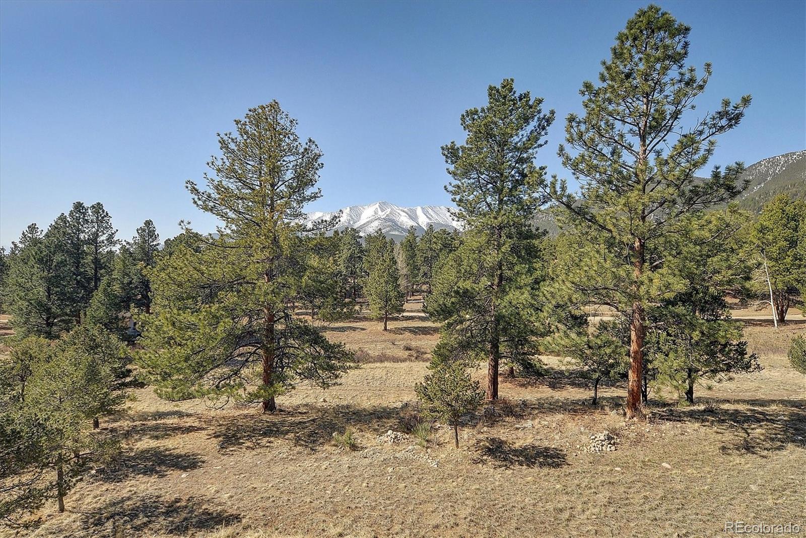 MLS Image #44 for 18202  alta vista drive,buena vista, Colorado