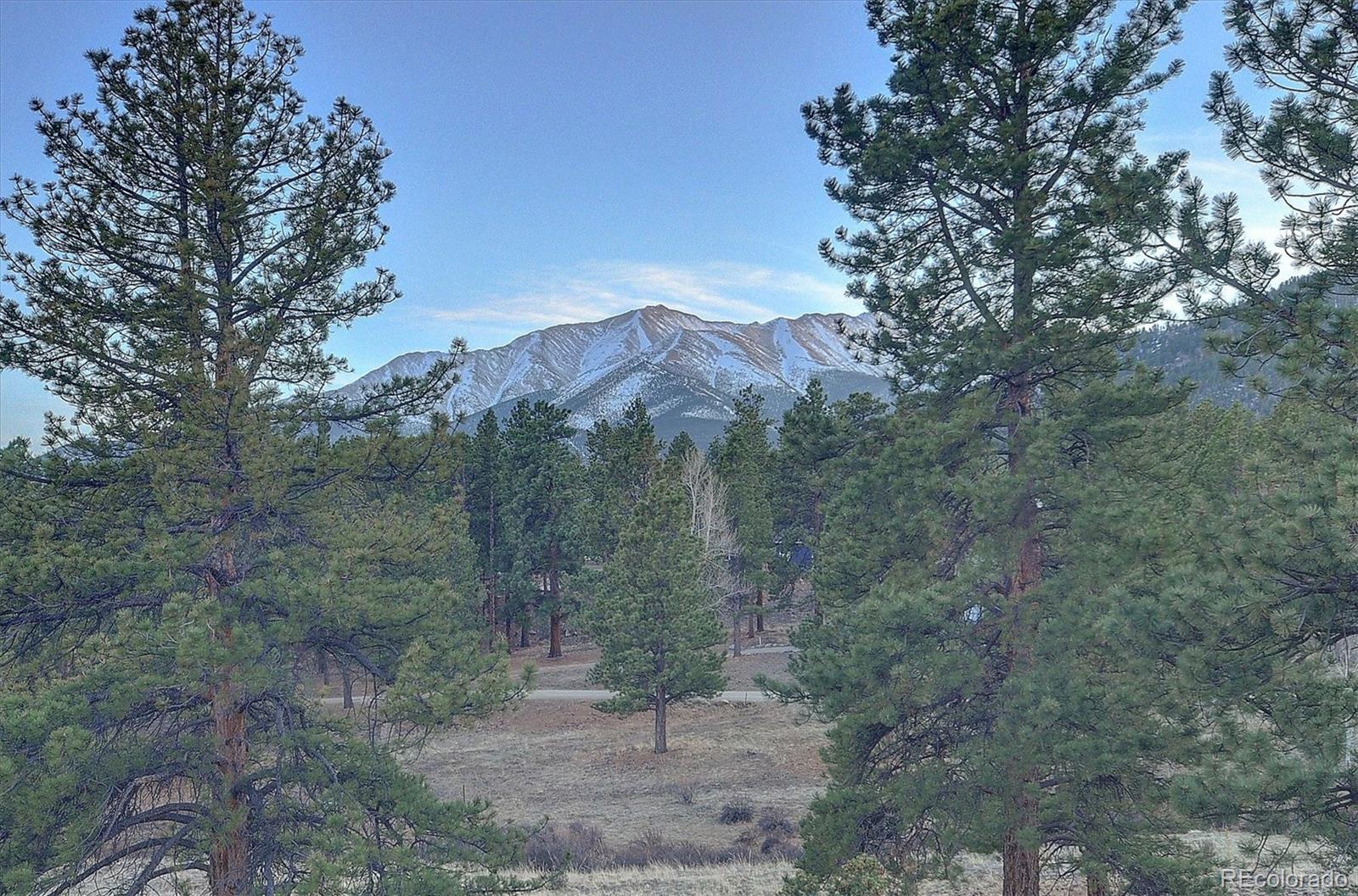 MLS Image #6 for 18202  alta vista drive,buena vista, Colorado