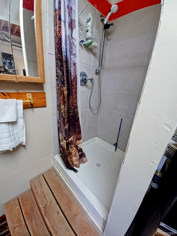 MLS Image #46 for 565  tanglewood lane,silverthorne, Colorado