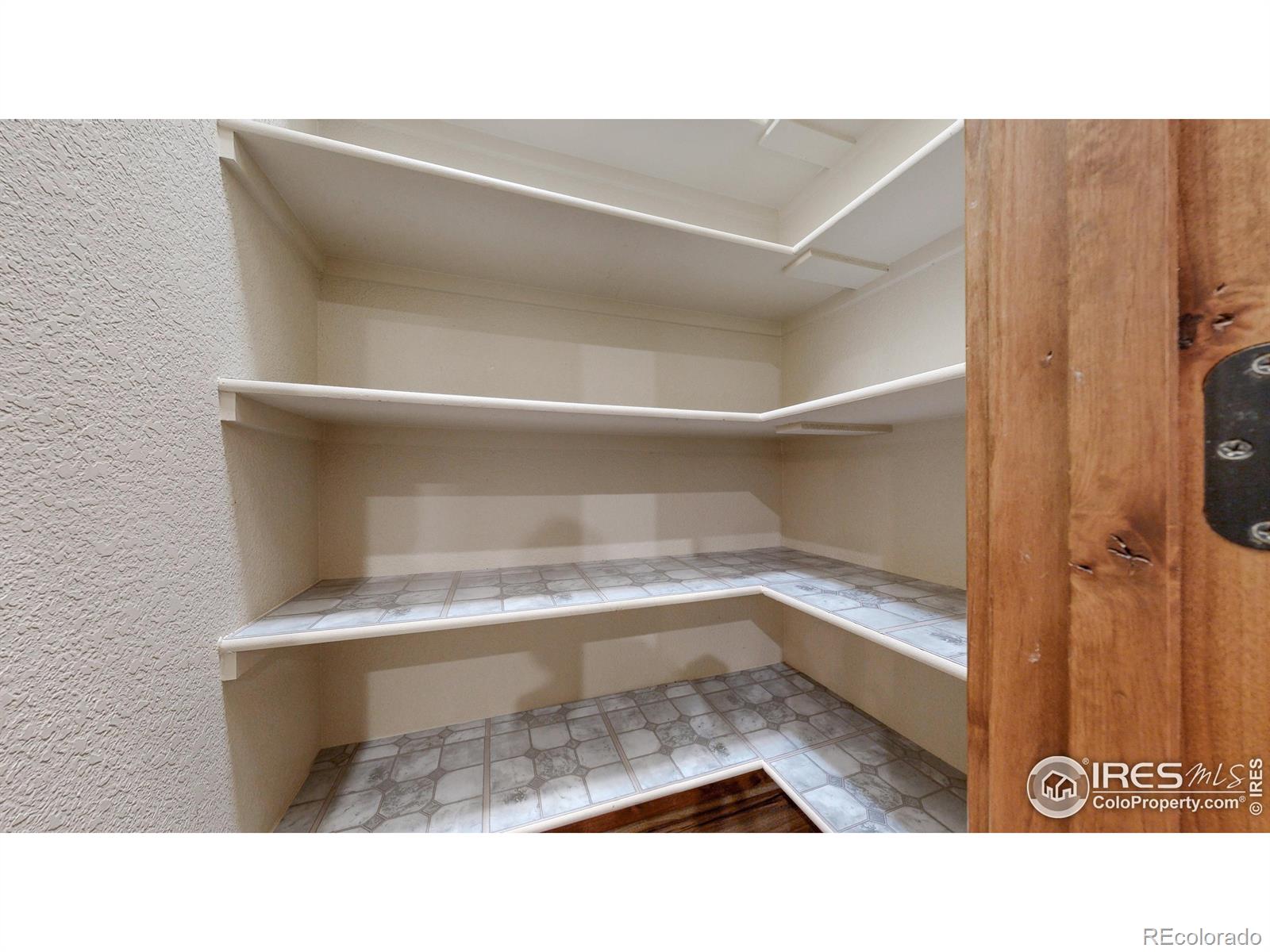 MLS Image #12 for 4675  dillon avenue,loveland, Colorado