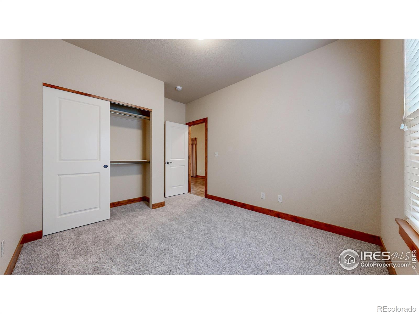 MLS Image #20 for 4675  dillon avenue,loveland, Colorado