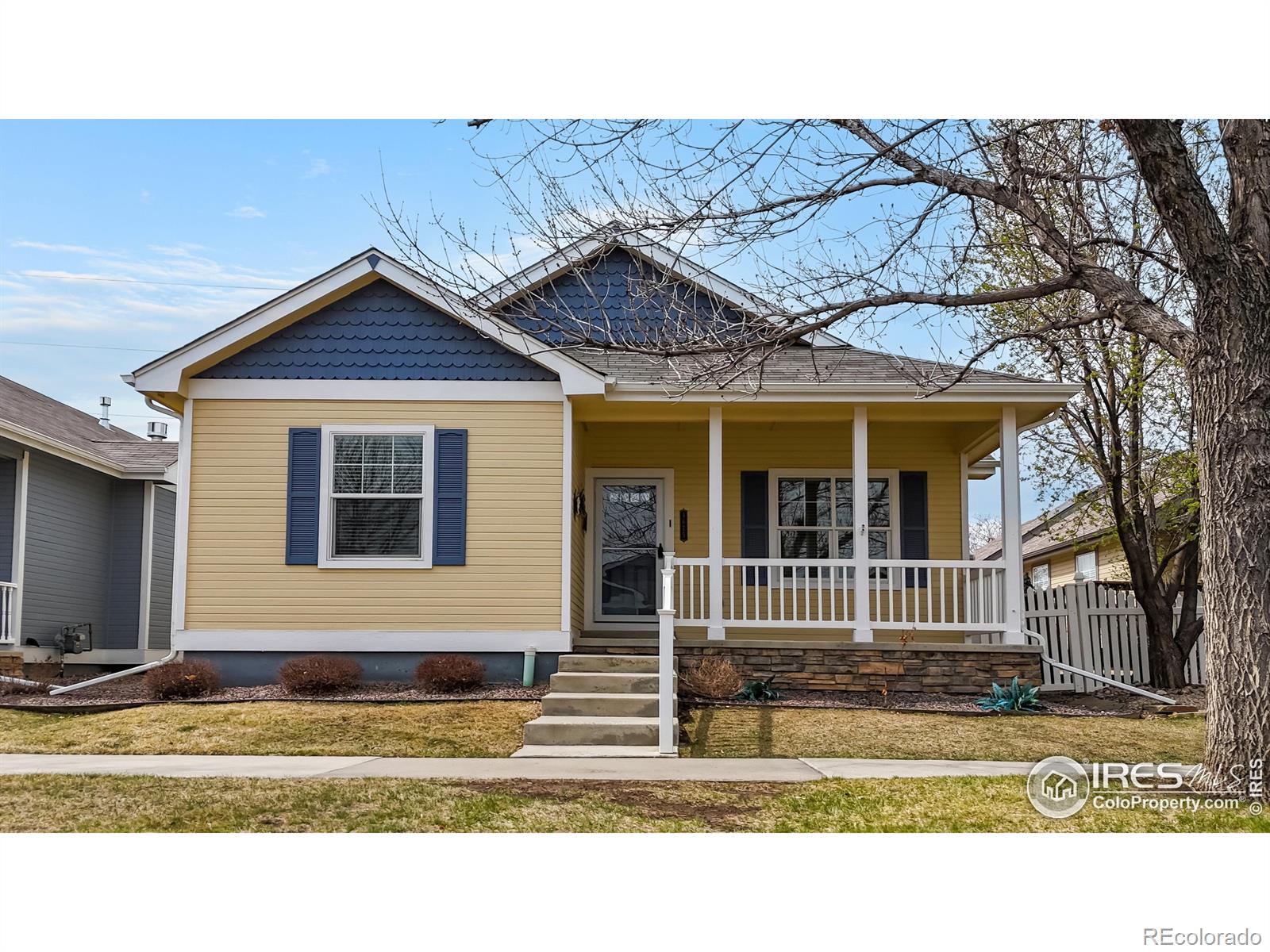 MLS Image #6 for 4675  dillon avenue,loveland, Colorado