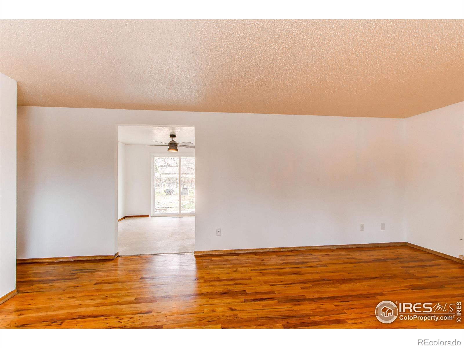 MLS Image #6 for 312  buckley drive,longmont, Colorado