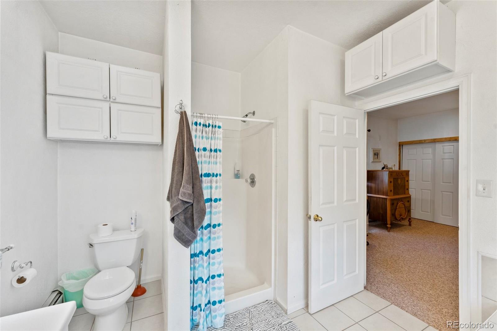 MLS Image #19 for 69  crescent drive,florissant, Colorado