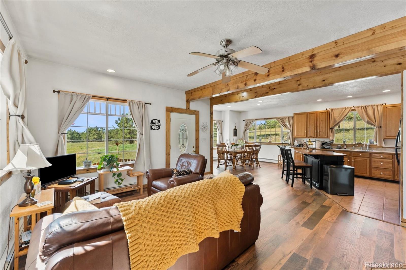 MLS Image #3 for 69  crescent drive,florissant, Colorado