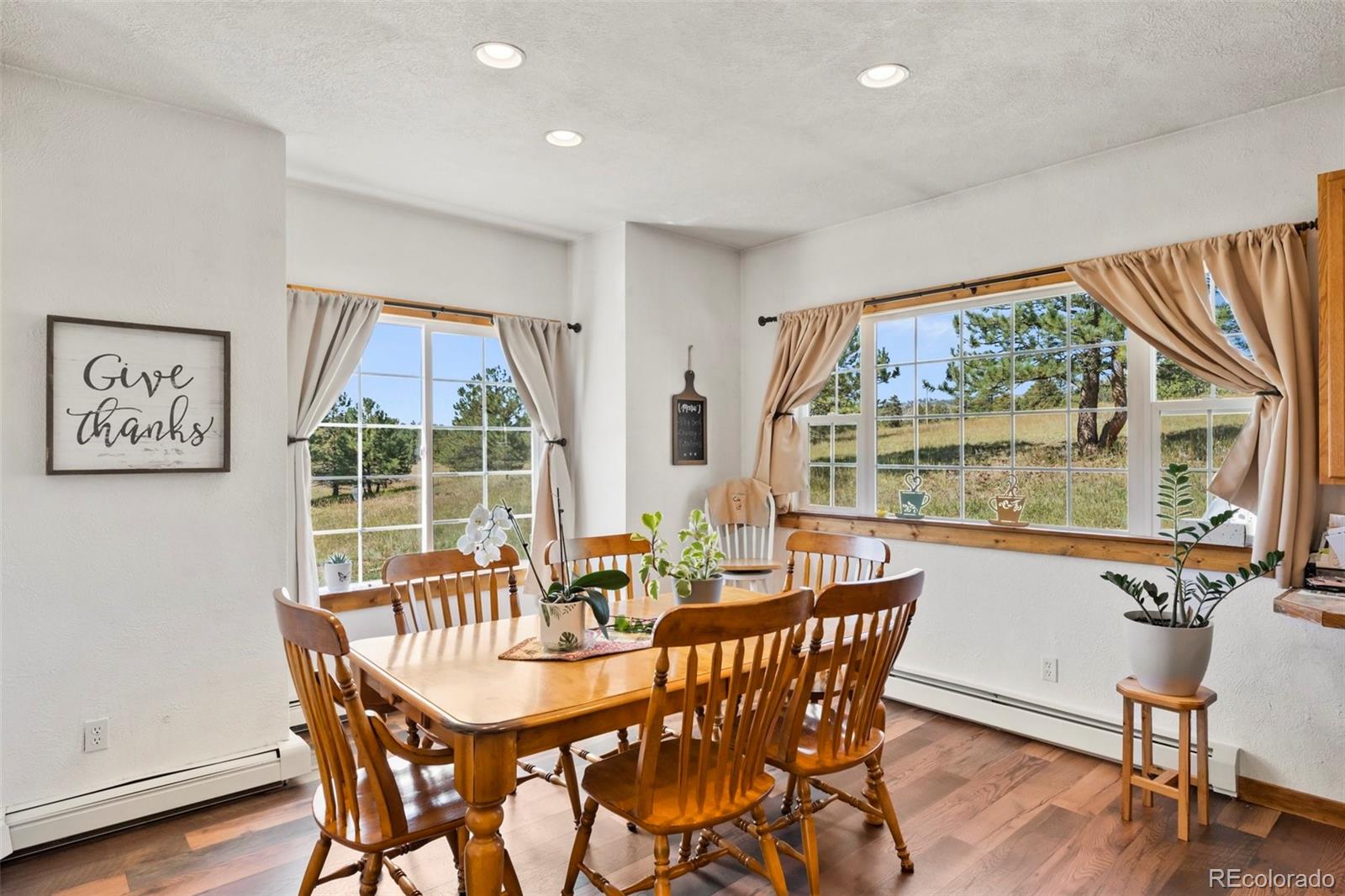 MLS Image #4 for 69  crescent drive,florissant, Colorado