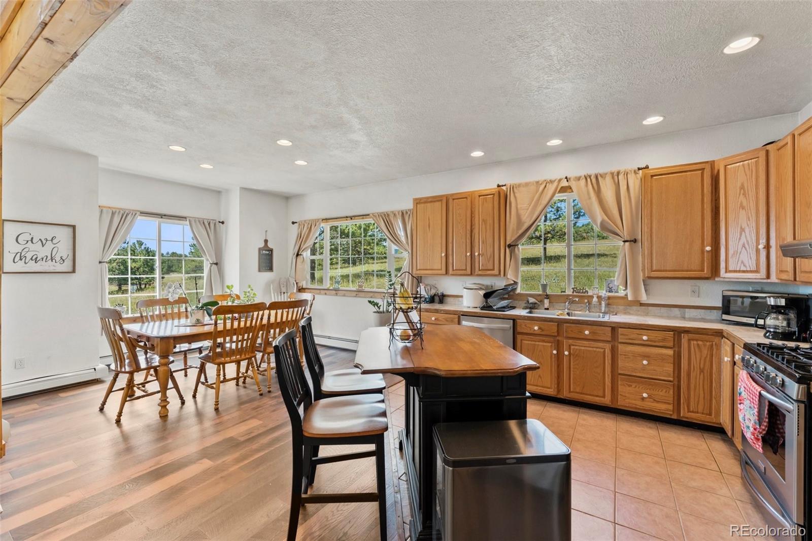 MLS Image #6 for 69  crescent drive,florissant, Colorado