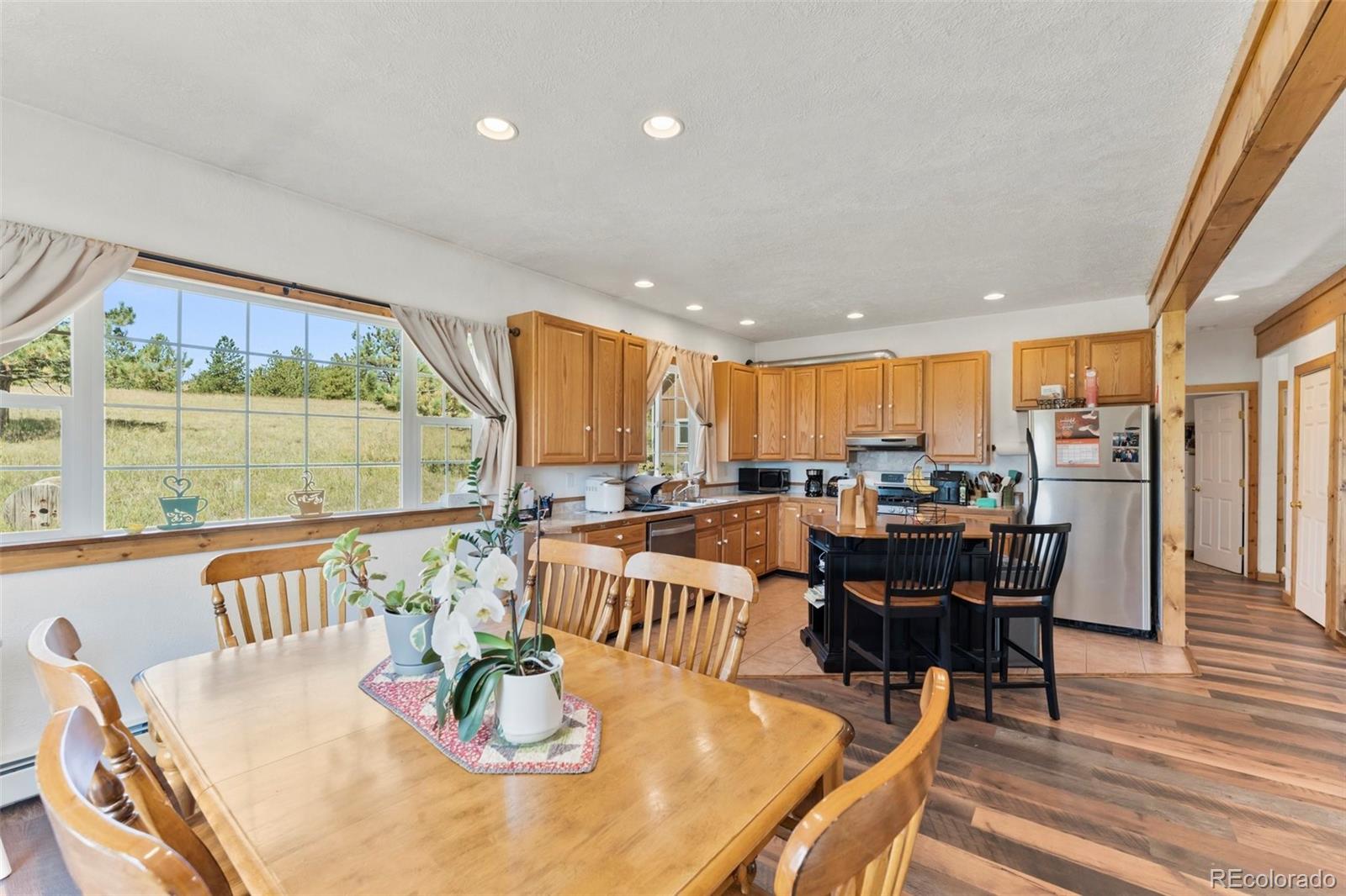 MLS Image #7 for 69  crescent drive,florissant, Colorado
