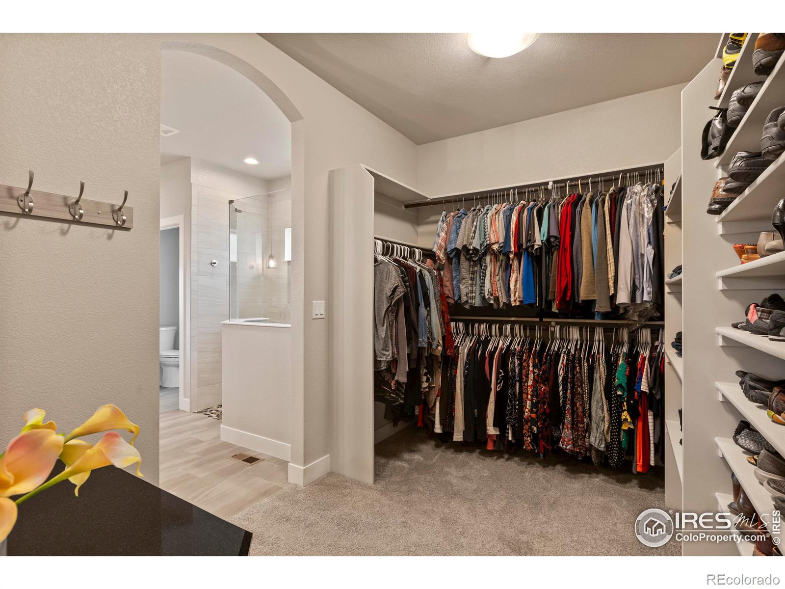 MLS Image #19 for 5977  crooked stick drive,windsor, Colorado