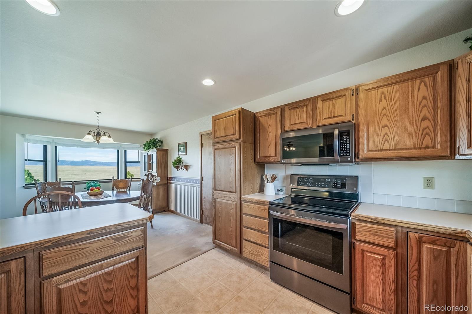 MLS Image #14 for 12973  mesa view road,larkspur, Colorado