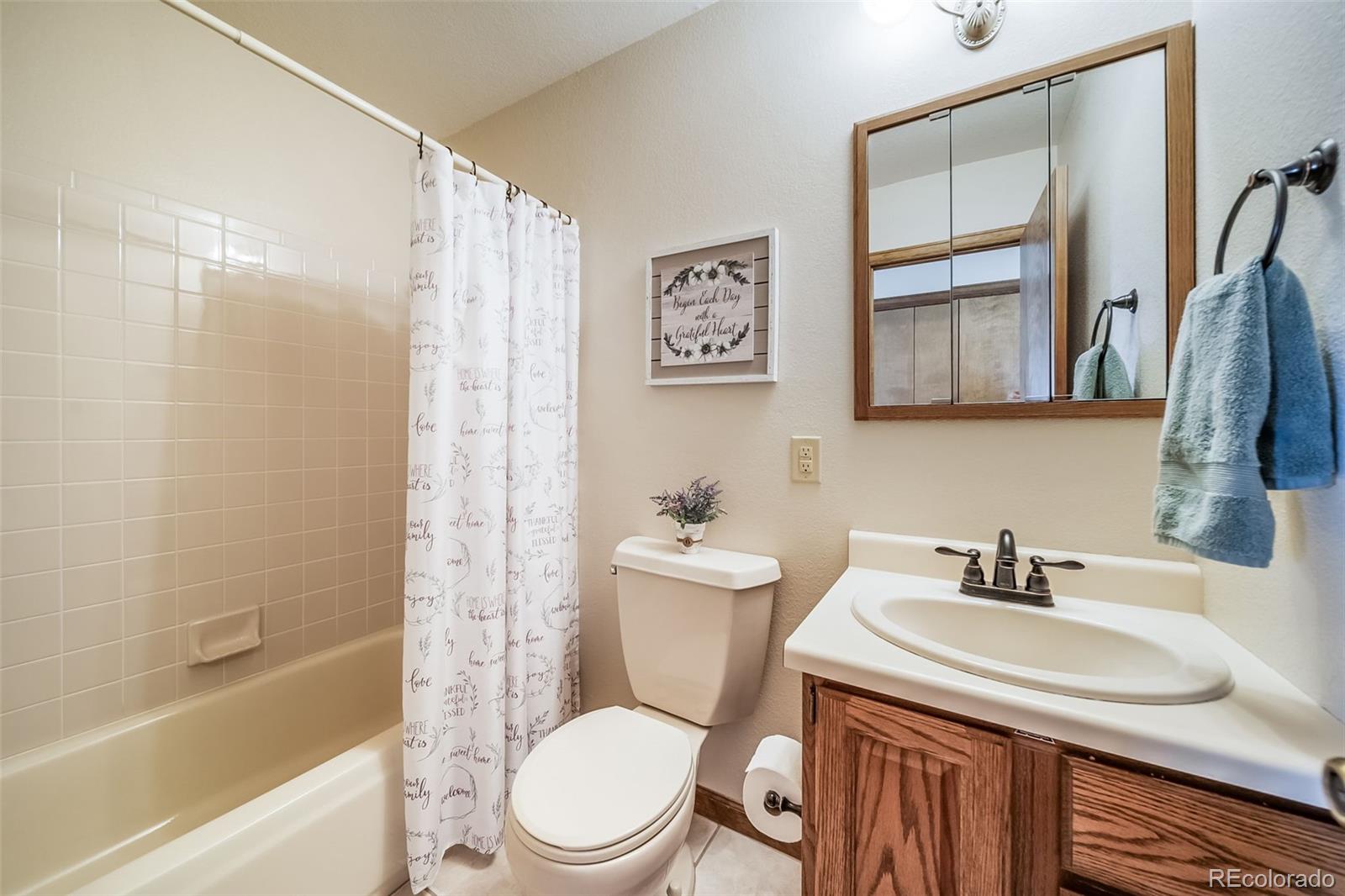 MLS Image #21 for 12973  mesa view road,larkspur, Colorado