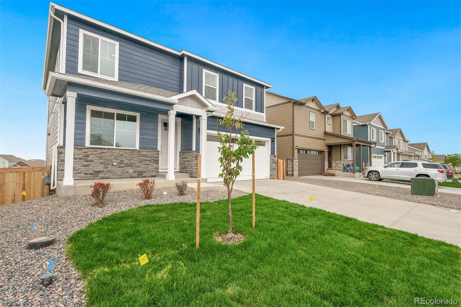 MLS Image #2 for 14229  beebalm avenue,parker, Colorado