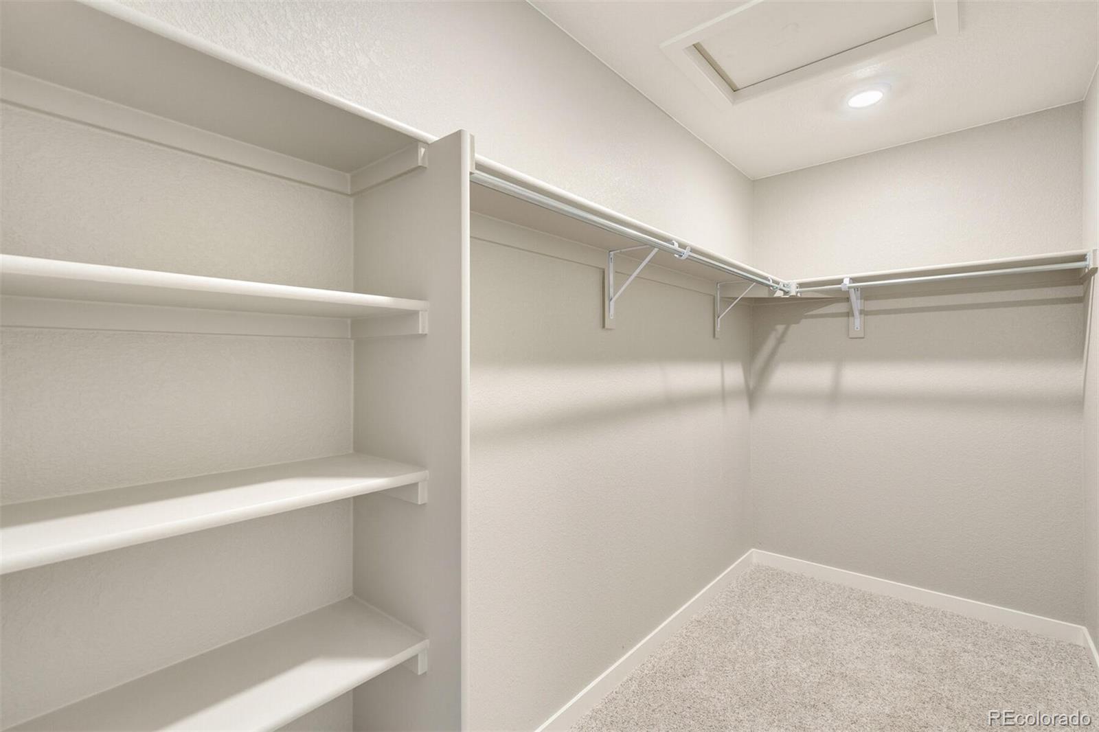 MLS Image #24 for 14229  beebalm avenue,parker, Colorado