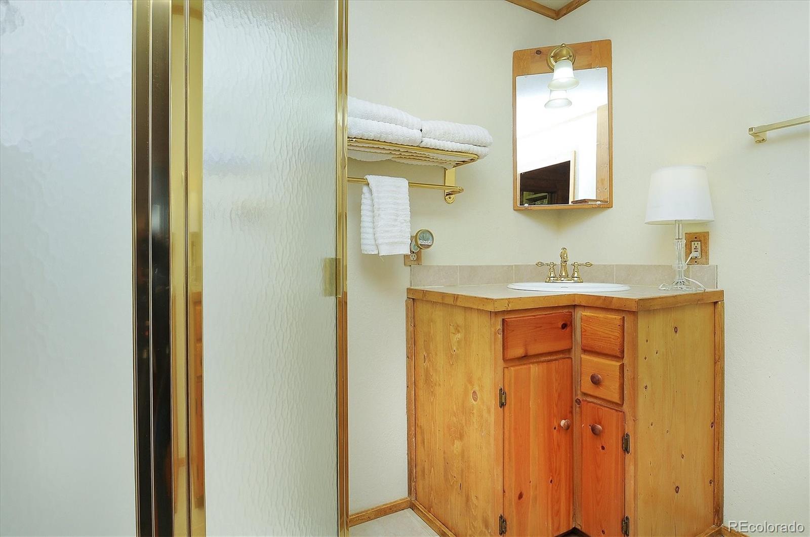 MLS Image #13 for 125  deer run,mosca, Colorado