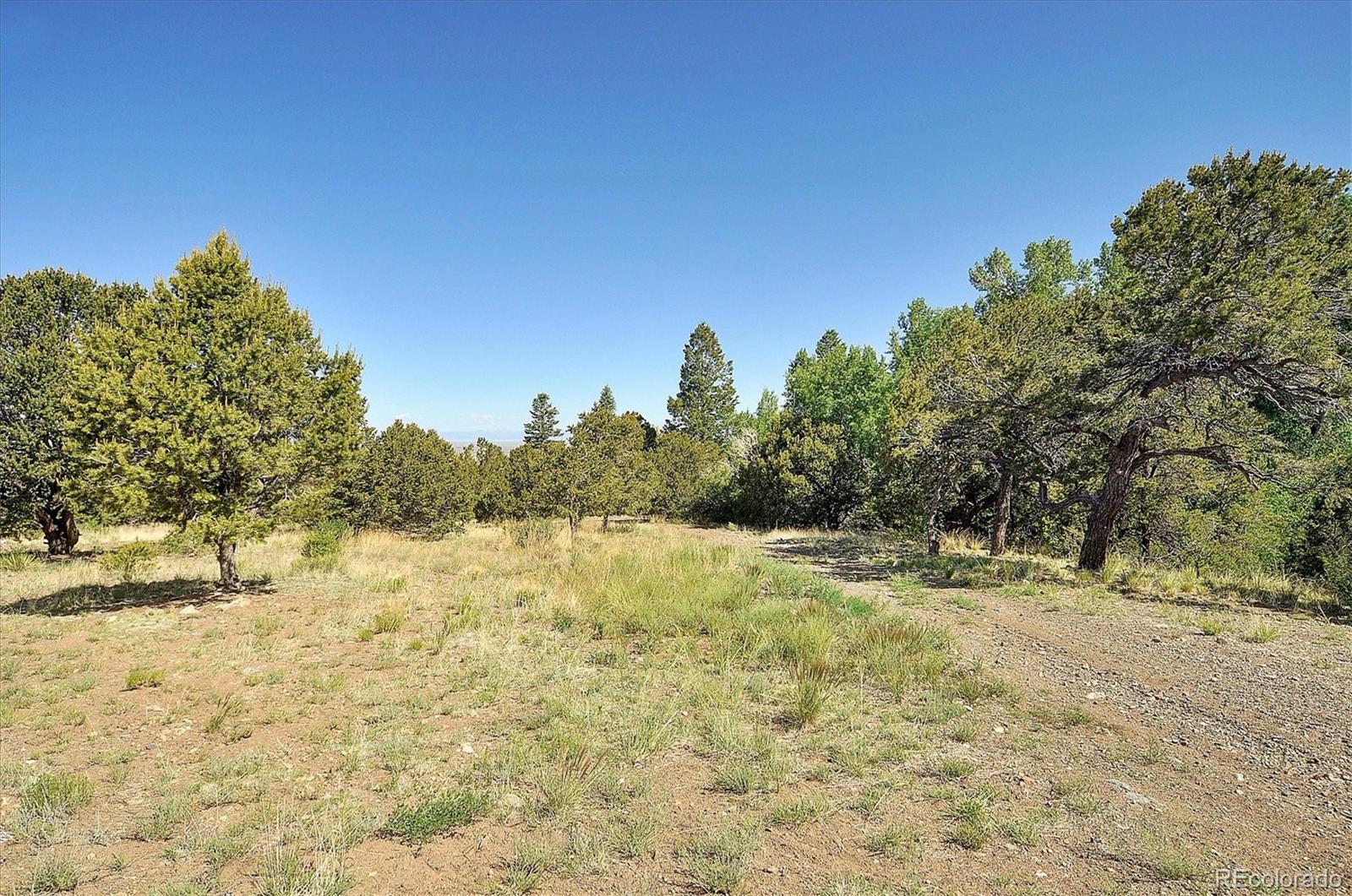 MLS Image #32 for 125  deer run,mosca, Colorado