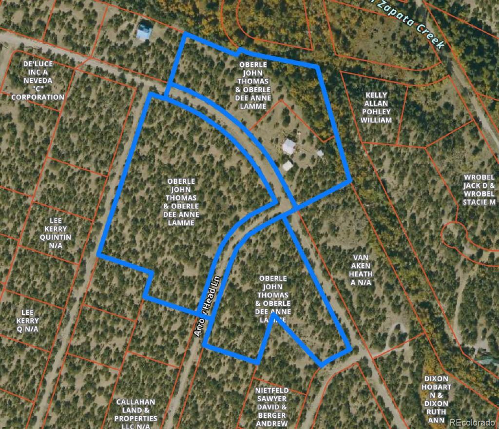 MLS Image #43 for 125  deer run,mosca, Colorado