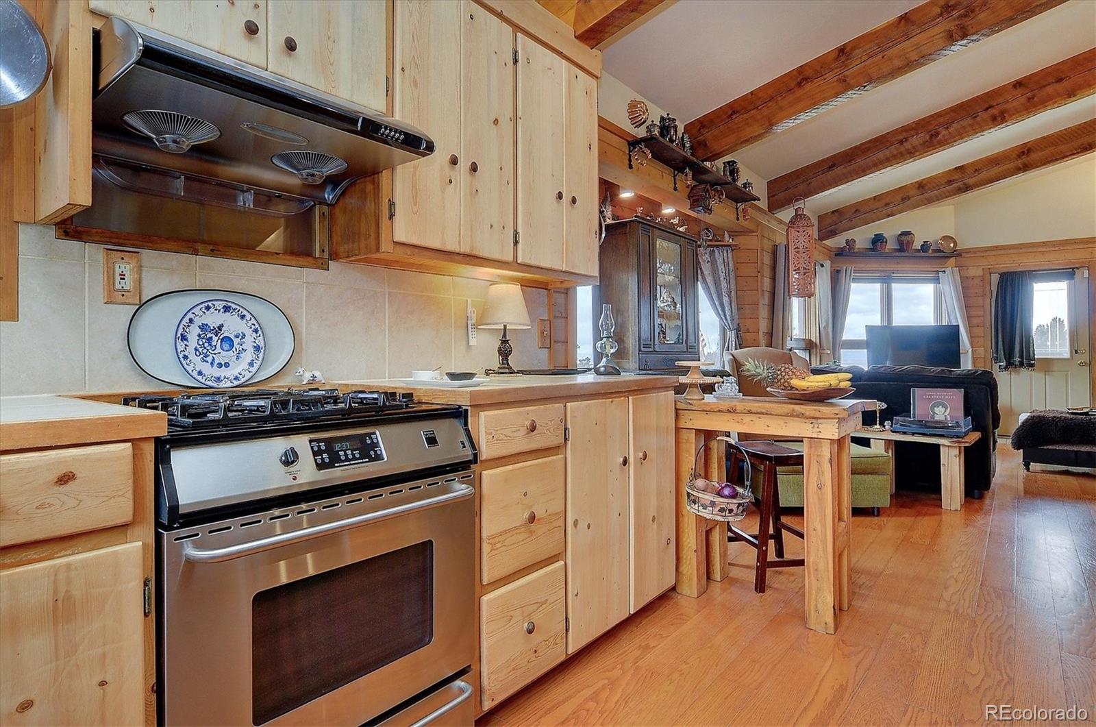 MLS Image #8 for 125  deer run,mosca, Colorado