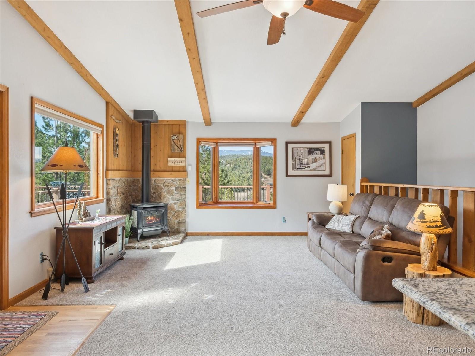 MLS Image #11 for 179  juniper lane,bailey, Colorado