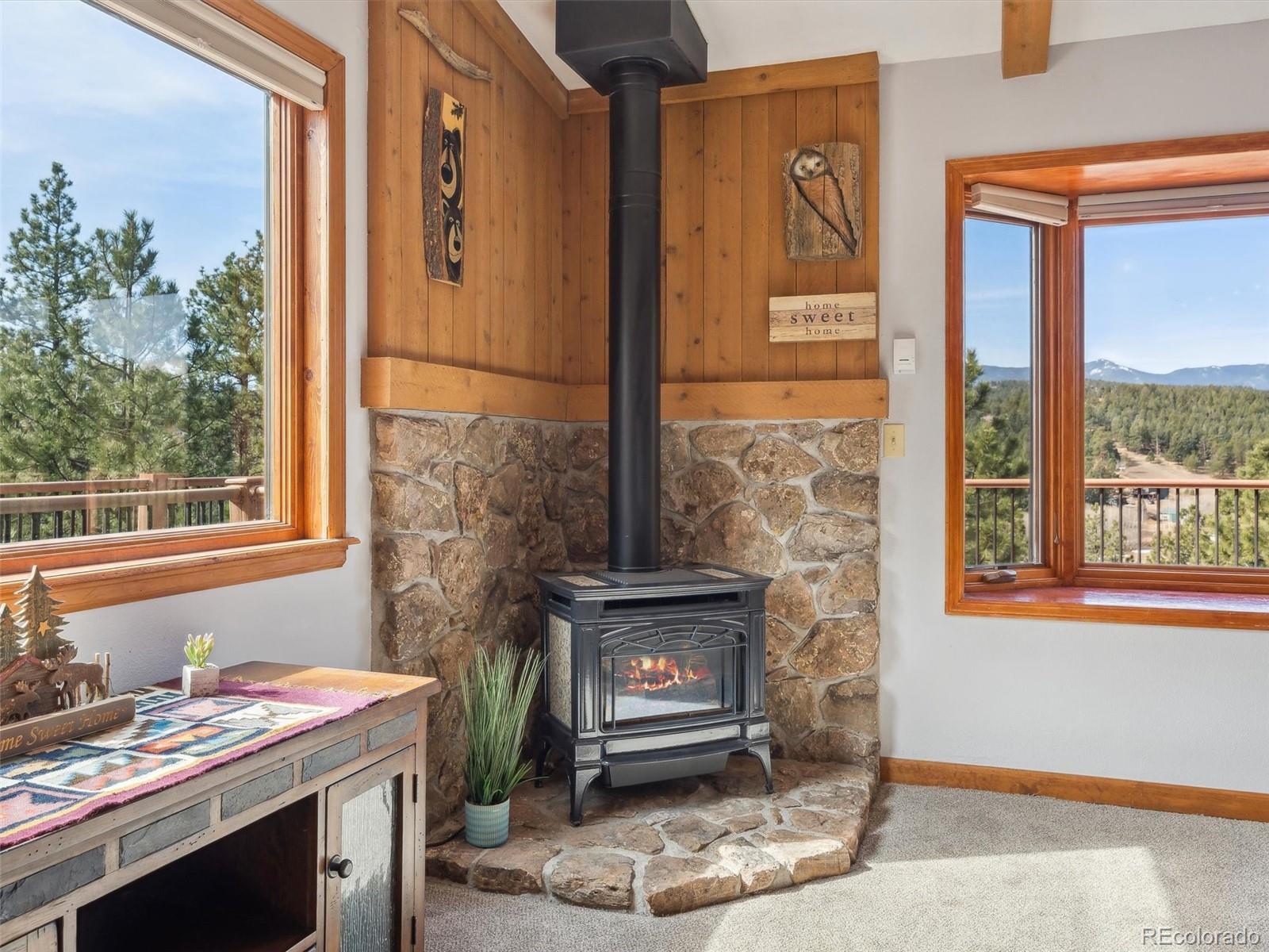 MLS Image #12 for 179  juniper lane,bailey, Colorado