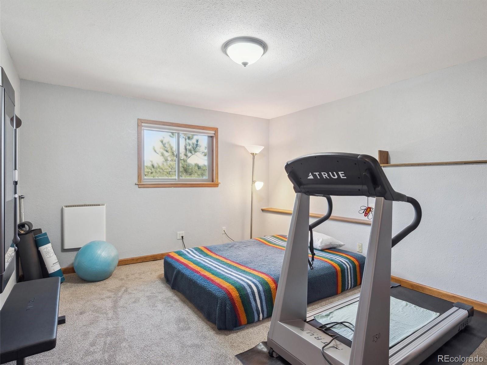 MLS Image #15 for 179  juniper lane,bailey, Colorado