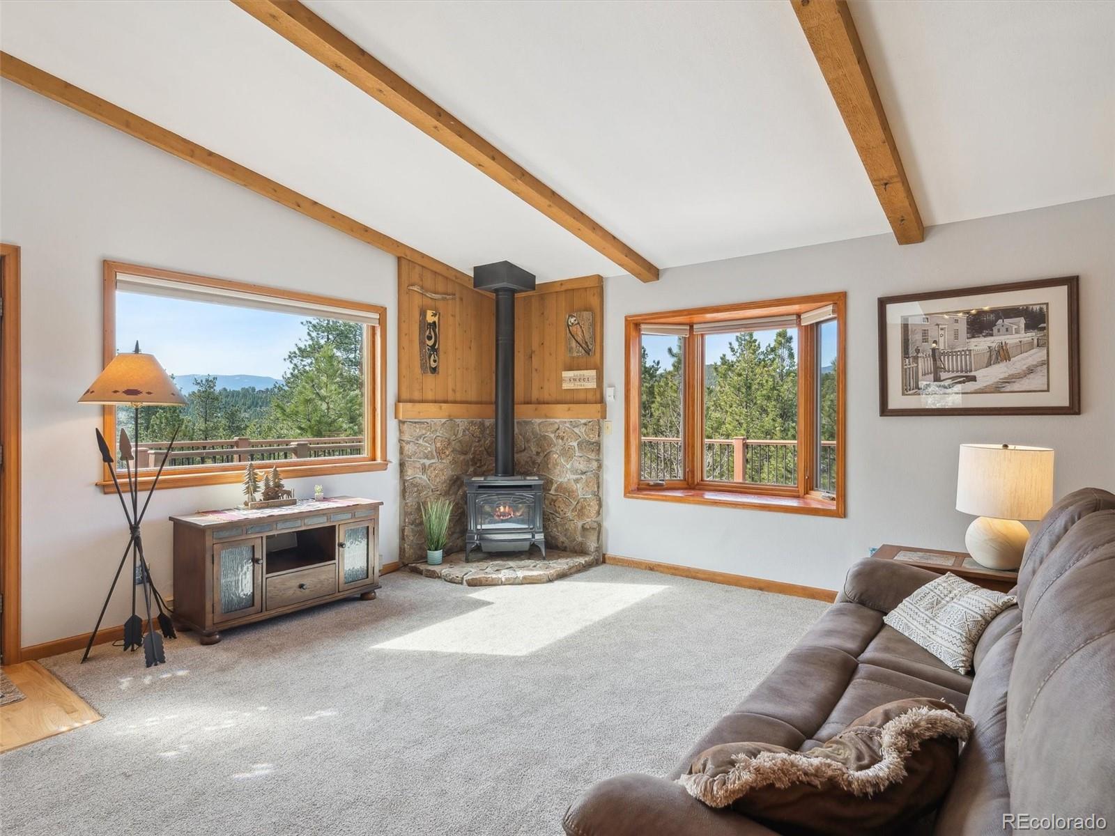 MLS Image #20 for 179  juniper lane,bailey, Colorado