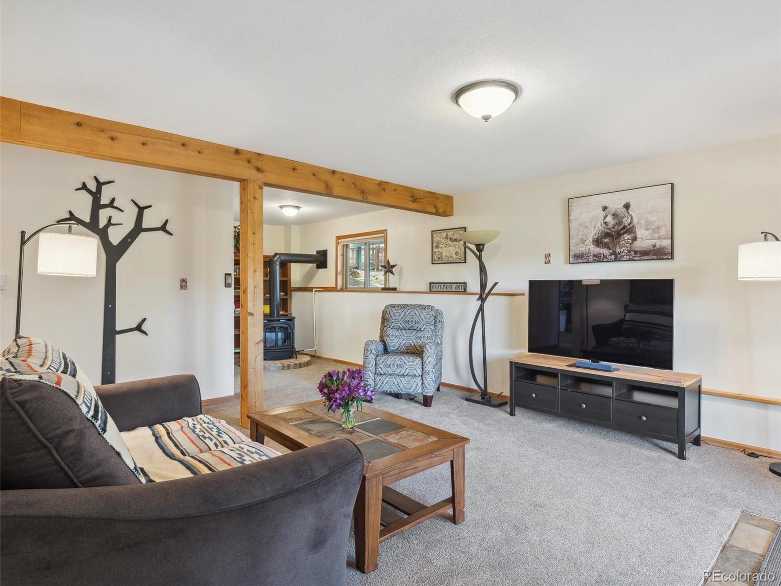 MLS Image #21 for 179  juniper lane,bailey, Colorado