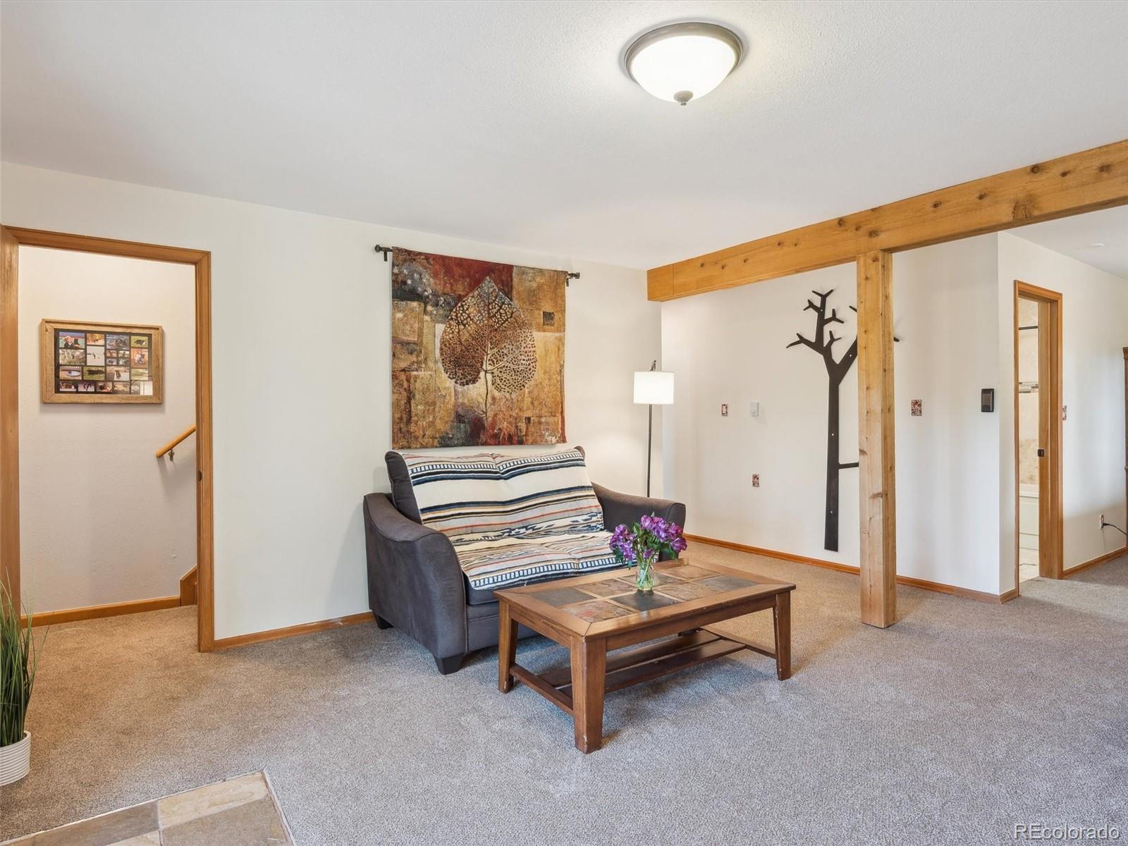MLS Image #22 for 179  juniper lane,bailey, Colorado