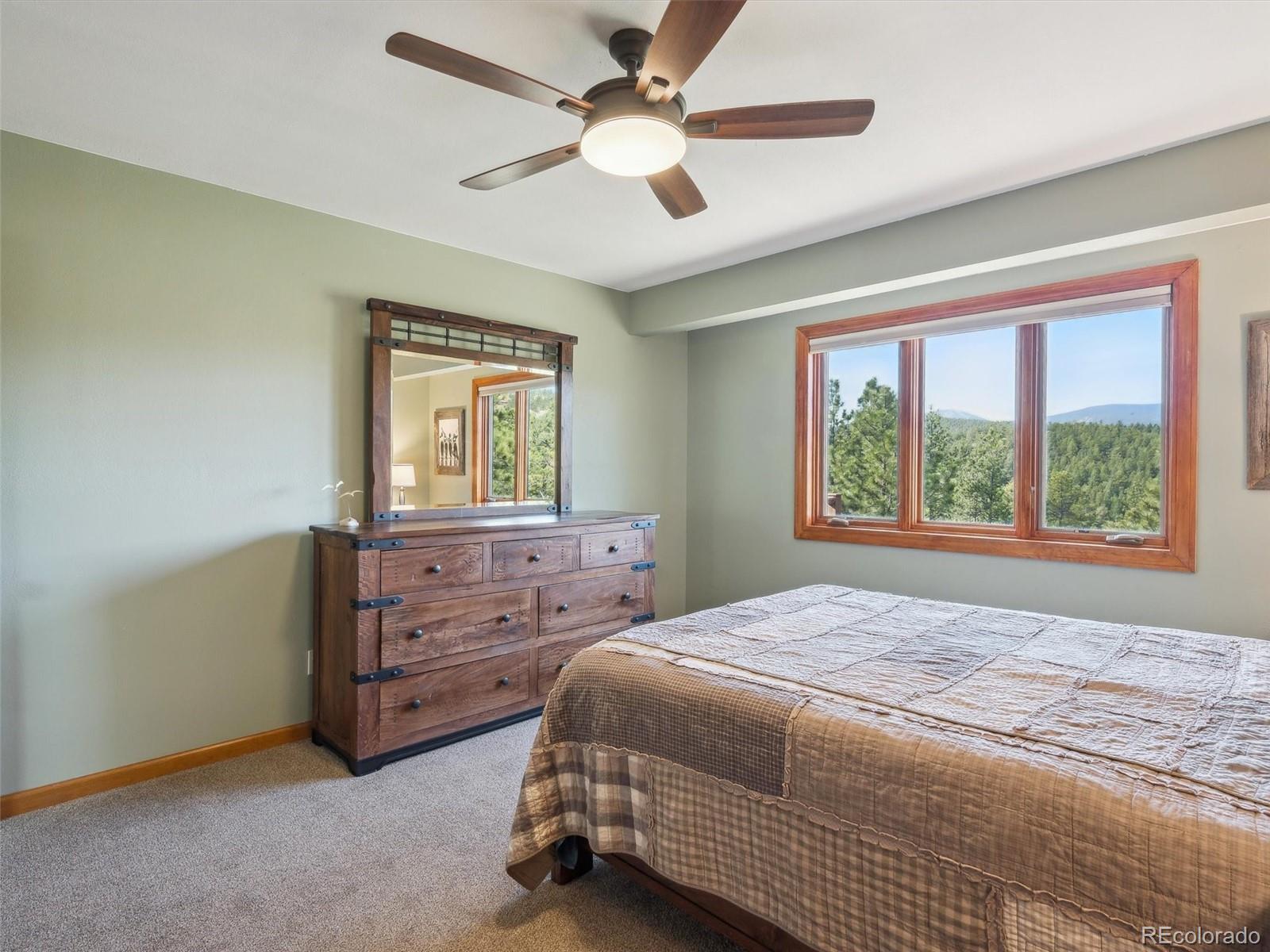 MLS Image #28 for 179  juniper lane,bailey, Colorado