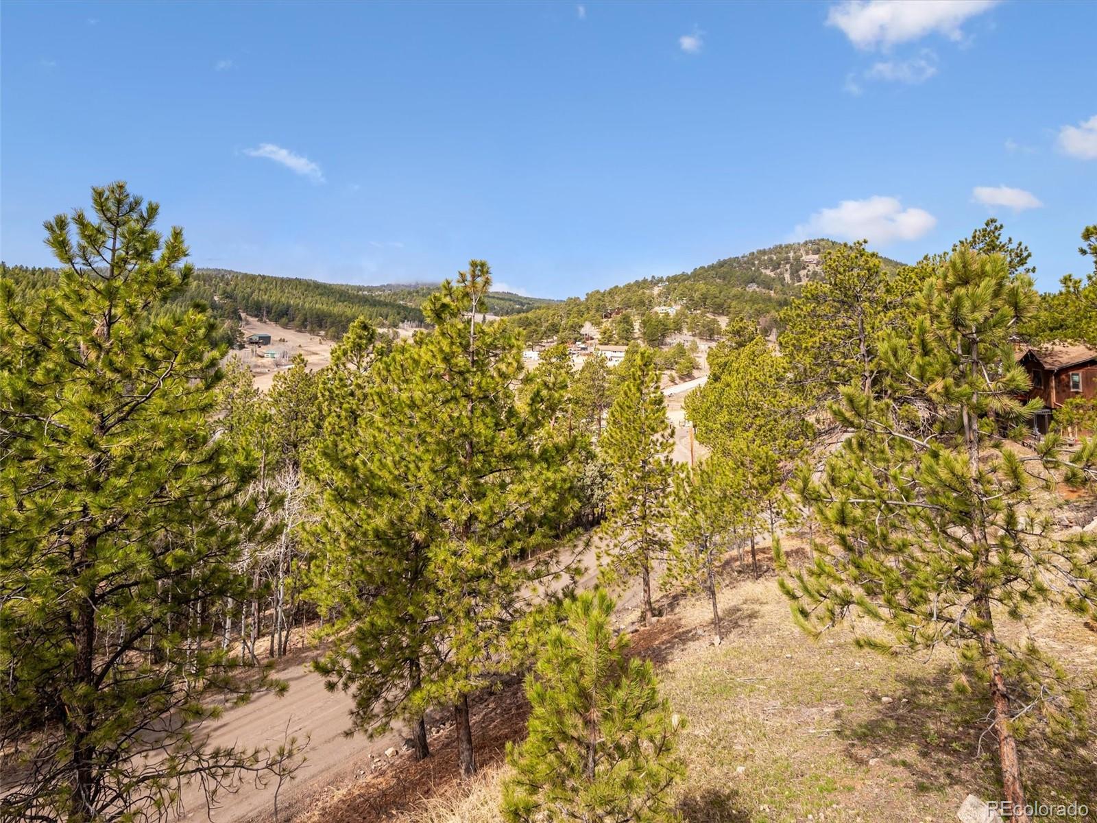 MLS Image #41 for 179  juniper lane,bailey, Colorado