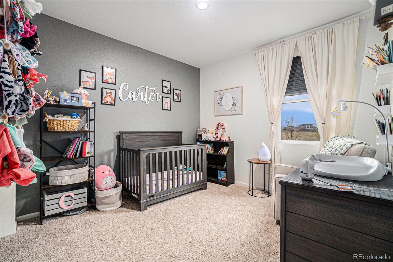 MLS Image #14 for 142  hidden lake drive,severance, Colorado